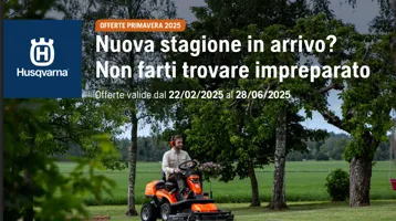 Volantino