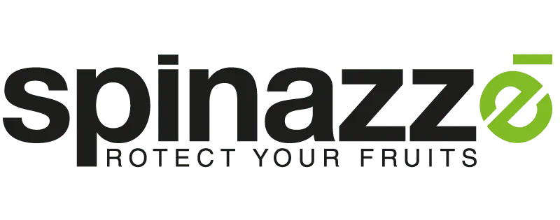spinazzè