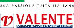 valente pali